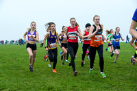 Chiltern League X Country, Luton _ 346065