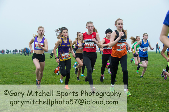 Chiltern League X Country, Luton _ 346065