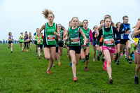 Chiltern League X Country, Luton _ 346062