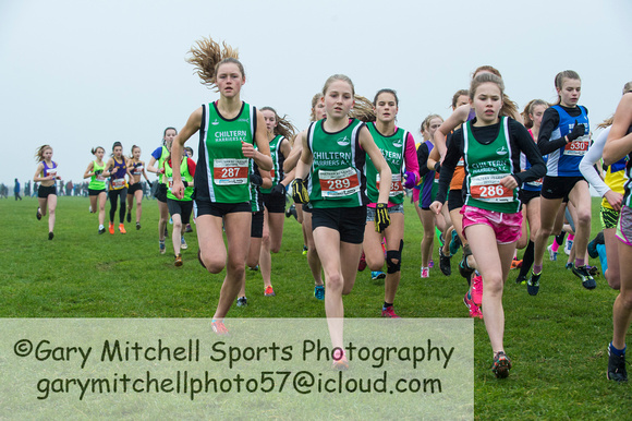 Chiltern League X Country, Luton _ 346062
