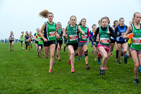 Chiltern League X Country, Luton _ 346061