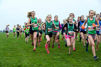 Chiltern League X Country, Luton _ 346060