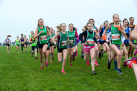 Chiltern League X Country, Luton _ 346059