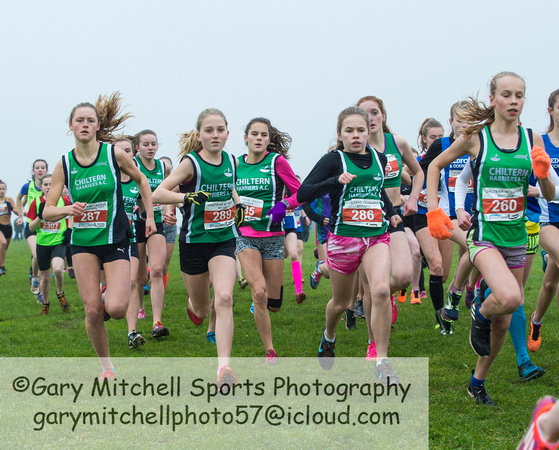Chiltern League X Country, Luton _ 346058