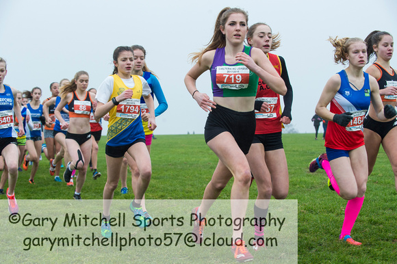 Chiltern League X Country, Luton _ 346056