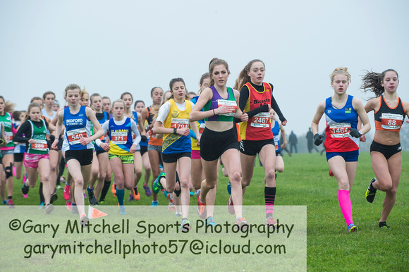 Chiltern League X Country, Luton _ 346045