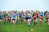 Chiltern League X Country, Luton _ 346042