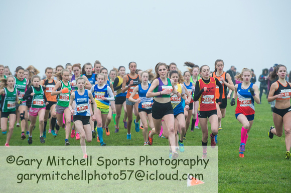 Chiltern League X Country, Luton _ 346042