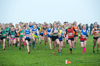 Chiltern League X Country, Luton _ 346041