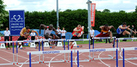 400m SM Hurdles _ BIG (Bedford International Games) 2012 _ 167856