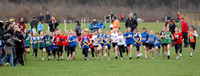 Hertfordshire County Cross Country Championships 2012  _ 174265