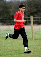 Hertfordshire County Cross Country Championships 2012  _ 174254