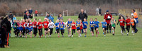 Hertfordshire County Cross Country Championships 2012  _ 174262