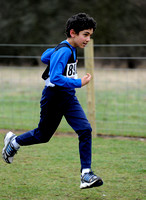 Hertfordshire County Cross Country Championships 2012  _ 174256