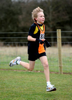 Hertfordshire County Cross Country Championships 2012  _ 174250
