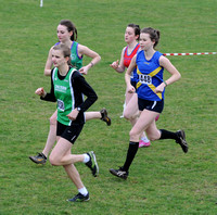 Hertfordshire County Cross Country Championships 2012  _ 174465