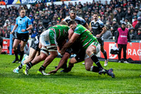 Leicester Tigers vs Newcastle Falcons _ 172881