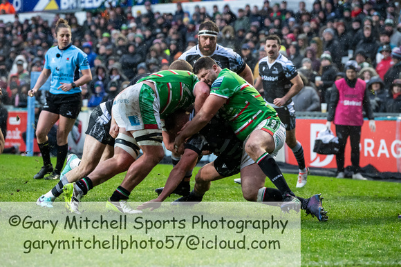 Leicester Tigers vs Newcastle Falcons _ 172881