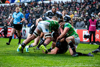 Leicester Tigers vs Newcastle Falcons _ 172882