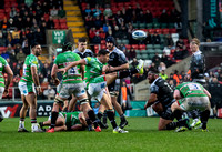Leicester Tigers vs Newcastle Falcons _ 173222