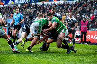 Leicester Tigers vs Newcastle Falcons _ 172880