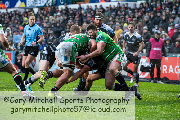 Leicester Tigers vs Newcastle Falcons _ 172880
