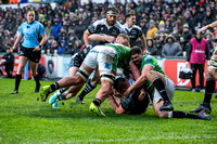 Leicester Tigers vs Newcastle Falcons _ 172883