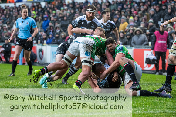 Leicester Tigers vs Newcastle Falcons _ 172883