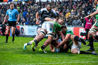 Leicester Tigers vs Newcastle Falcons _ 172884