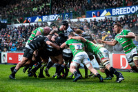 Leicester Tigers vs Newcastle Falcons _ 172967