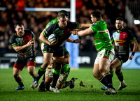 Harlequins vs Leicester Tigers