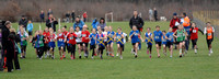 Hertfordshire County Cross Country Championships 2012  _ 174263