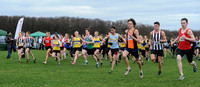 Hertfordshire County Cross Country Championships 2012  _ 174510