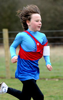 Hertfordshire County Cross Country Championships 2012  _ 174248