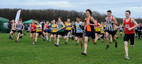 Hertfordshire County Cross Country Championships 2012  _ 174511