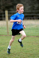 Hertfordshire County Cross Country Championships 2012  _ 174251