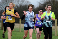 Hertfordshire County Cross Country Championships 2012  _ 174216