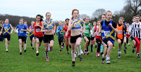 Hertfordshire County Cross Country Championships 2012  _ 174325
