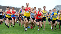 Hertfordshire County Cross Country Championships 2012  _ 173295