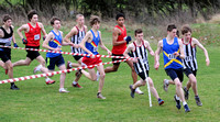 Hertfordshire County Cross Country Championships 2012  _ 174401