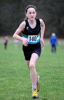 Hertfordshire County Cross Country Championships 2012  _ 174330