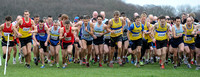 Hertfordshire County Cross Country Championships 2012  _ 173287