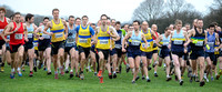 Hertfordshire County Cross Country Championships 2012  _ 173290