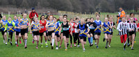 Hertfordshire County Cross Country Championships 2012  _ 174318