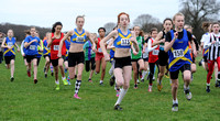 Hertfordshire County Cross Country Championships 2012  _ 174326