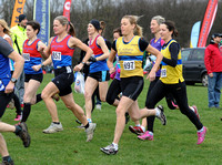 Hertfordshire County Cross Country Championships 2012  _ 174201