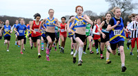 Hertfordshire County Cross Country Championships 2012  _ 174327