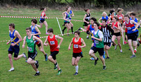 Hertfordshire County Cross Country Championships 2012  _ 174409
