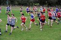 Hertfordshire County Cross Country Championships 2012  _ 174406