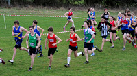 Hertfordshire County Cross Country Championships 2012  _ 174411